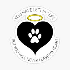 We did not find results for: Pet Loss Stickers Redbubble