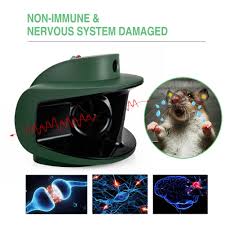 How does the billing work? Mouse Deterrent Attack Wave Ultrasonic Rodent Repellent Ar10
