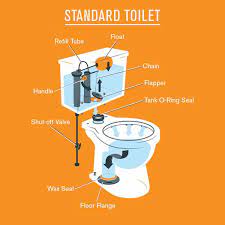Understanding The Parts Of A Toilet And What Can Go Wrong Repair House Drainage System Home Repair