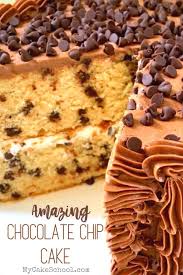 Chocolate Chip Cake Recipe My Cake School