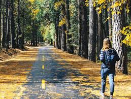 Ass,,ada tmn cwek bermimpi ketemu sm ibunya pacarnya,,selama ini itu ibu membencinya krn dia dengar mhon minta mengartikan dri mimpi sya… sya bermimpi bertemu dg suami sya yg sudah sminggu. 15 Arti Mimpi Ketemu Mantan Apa Saja Orami