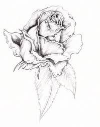 Pin By Margaret Cano On Brave Face Ideas Rose Tattoo Design White Rose Tattoos Flower Tattoo Designs