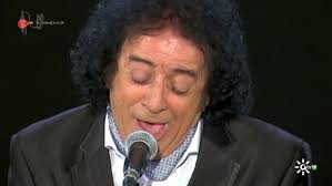 Fandangos. Canela de San Roque. 2014