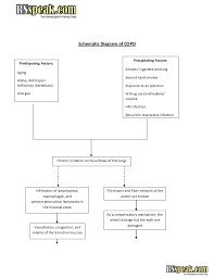 schematic diagram of copd