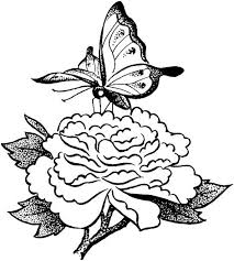 You'll find daffodils, tulips, snowdrops and other pretty spring flowers in this lovely spring colouring page for kids to print and colour! Butterfly On A Flower Coloring Page Super Coloring Butterfly Coloring Page Butterfly Art Painting Flower Coloring Pages