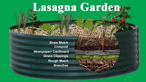 What Is Lasagna Gardening Lasagna Gardening Growing Vegetables Straw Mulch