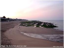 Crabecanoe Plage De Boisvinet A Jard Sur Mer Sud Vendee Vendee France Jard Sur Mer Vendee