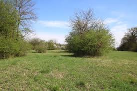 Centre des finances publiques d'illkirch ⭐ , france, strasbourg, rue du rhône, 12: Chantier Nature Participatif A Illkirch Graffenstaden Heyssel Conservatoire Des Sites Naturels Alsaciens