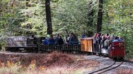 Reading Society of Model Engineers Train Ride