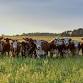 HIGH PRAIRIE area - Agriculture Stewardship  event image