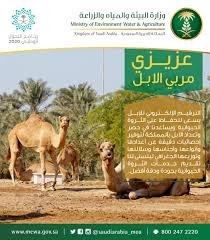 العناوين مع المداخل على الخريطة والتعليقات والصور وأرقام الهواتف وساعات العمل وكيفية الوصول إليها. Ø§Ù„Ø¨ÙŠØ¦Ø© ØªÙˆØ¬Ù‡ Ù…Ø±Ø¨ÙŠ Ø§Ù„Ø¥Ø¨Ù„ Ø¨Ø§Ù„ØªØ±Ù‚ÙŠÙ… Ø§Ù„Ø¥Ù„ÙƒØªØ±ÙˆÙ†ÙŠ Ù„Ù„Ø­ÙØ§Ø¸ Ø¹Ù„Ù‰ Ø§Ù„Ø«Ø±ÙˆØ© Ø§Ù„Ø­ÙŠÙˆØ§Ù†ÙŠØ© ØµØ­ÙŠÙØ© ØµØ¯Ù‰ Ø§Ù„Ø§Ù„ÙƒØªØ±ÙˆÙ†ÙŠØ©