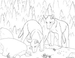 Think wolves are just wild dogs? Coloring Page Christmas Wolf Coloring Pages