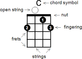 How To Read Chord Diagrams