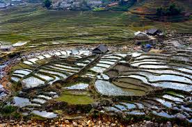 Sapa is a beautiful, mountainous town in northern vietnam along the border with china. Trekking In Sapa A Hike Through The Hills Of Northern Vietnam