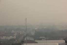 ฝุ่นละออง pm2.5 คือฝุ่นละอองที่มีขนาดเล็ก 2.5 ไมโครเมตร ซึ่ง 2.5 ไมโครเมตรนั้นเป็นขนาดฝุ่นละอองที่เล็กมากๆ มนุษย์เราไม่สามารถมอง. à¸ à¸©à¸ à¸à¸¥à¸°à¸­à¸­à¸ Pm 2 5 à¸§ à¸à¸§à¸à¸£ à¸à¸à¸²à¸¥à¹à¸ à¸ à¸à¸«à¸²à¸à¸¥à¸²à¸¢à¹à¸«à¸