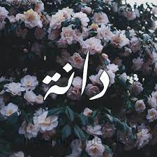 معنى اسم دانه صور وحكم تسميه دانه المنام