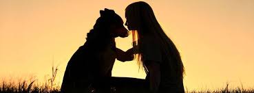 Affordable animal hospital in covina, gets the highest review. Affordable Vet Services Reviews Facebook