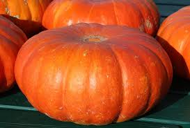 Keep in mind that there are far more nutritious fruits and vegetables (spinach, pumpkin, blueberries. Can Dogs Eat Pumpkin Raw Cooked Canned Or Seeds