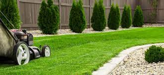 Lawn edging has so many different uses in the garden: Best Garden And Lawn Edging Ideas And Tips