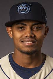 Adrian Almeida minor league baseball statistics