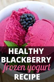 Healthy Homemade Frozen Yogurt Recipe Blackberry Frozen Yogurt Recipes Frozen Yogurt Healthy Ice Cream Recipes