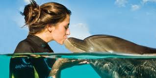 Shallow Water Dolphin Encounter Cruise Excursion At Atlantis In Nassau