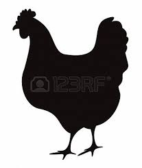 Hen Silhouette Isolated On White Silhouette Rooster Vector Illustration