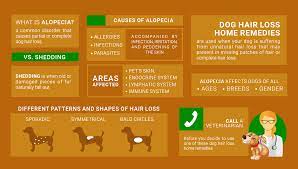 Allergies can cause all sorts of problems, from inflammation to irritation, which can ultimately lead to dry skin and hair issues. Dog Hair Loss Home Remedies Top Dog Tips