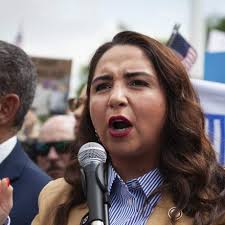 House Democrat Calls