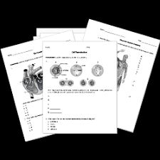 printable life science tests and worksheets