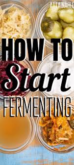 Fermenting Foods 50 Recipes To Try In 2020 How To Make Fermented Foods Fermented Veggies Fermentation Recipes
