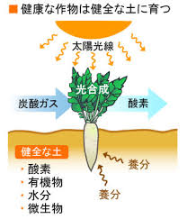 土づくり 野菜づくりの基本編 農作業便利帖 みんなの農業広場 モバイル版