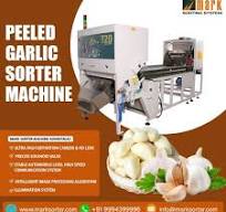 Peeled Garlic Color Sorter Machine Garlic Sorting Machine Color Sorter  Machine