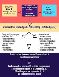 Pin En Acupuntura