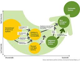 Introduction to insect pest management. Agroecology