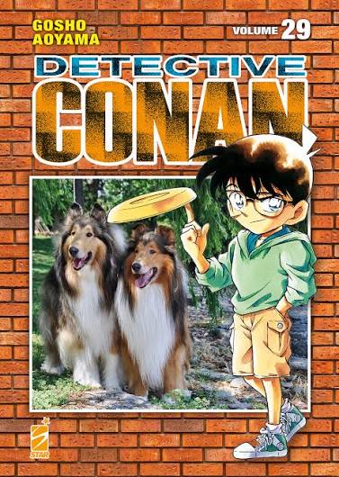 DETECTIVE CONAN - 29