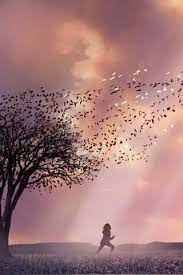 Pretty Scene Outside For A Background Aesthetic Backgrounds Background Cool Wallpaper