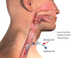 Image result for Tracheostomy