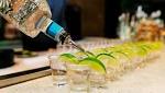  A Hangover Pill? Tests on Drunk Mice Show Promise
