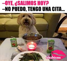 Con Mi Unico Y Verdadero Amor Memes Perros Chistes Y Bromas Imagenes Chistosas