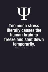 Too Much Stress Literally Causes The Human Brain To Freeze And Shut Down Temporarily Psychologicalfactshu Psychology Quotes Psychology Facts Psychology Says