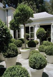 Extensive topiary gardens with cone trees, topiary frames and plants. 33 Garden Topiary Pots Ideas Garden Topiary Garden Inspiration