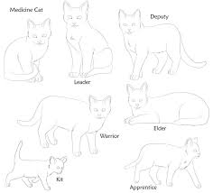 A young cat is playing. Warrior Cat Coloring Pages Malvorlage Katze Warrior Cats Katzen Zeichnungen
