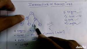 In the above fig., the binary tree consists of a root and two. Introduction Of Binary Tree Degree Size Path Length Youtube