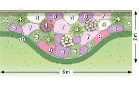 Pflanzplan Staudenbeet Mit Rosen Planting Plan Potted Plants Patio Ideas Perennials