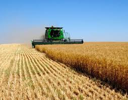 Основна особливість фк «агробізнес» — ставка на. Prezentovana Programma Agrobiznes 2020 Novosti Kapital Kz