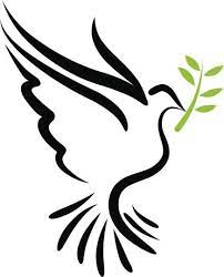 2013 April14 Peace Dove Jpg 372 461 Holy Spirit Dove Dove Pictures Dove With Olive Branch