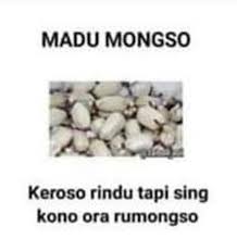 We did not find results for: Kocaknya Singkatan Nama Makanan Ini Bikin Ngakak Ambyar