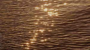 I ended up going back in and touching it up on june 22, 2021, because my friends found this generator and we had a good laugh over it. Abstract Liquid Gold Water By Maryanne Gobble Video Video Water Aesthetic Gold Aesthetic Sun Aesthetic