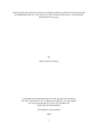 Image result for Cryptolepis cryptolepioides